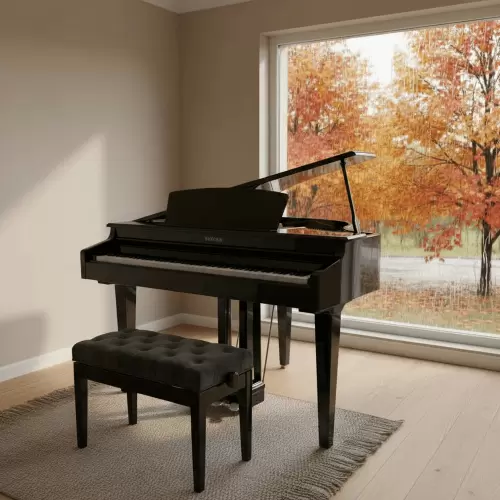 Цифровой рояль PIANOVA RG-110 Polish Black