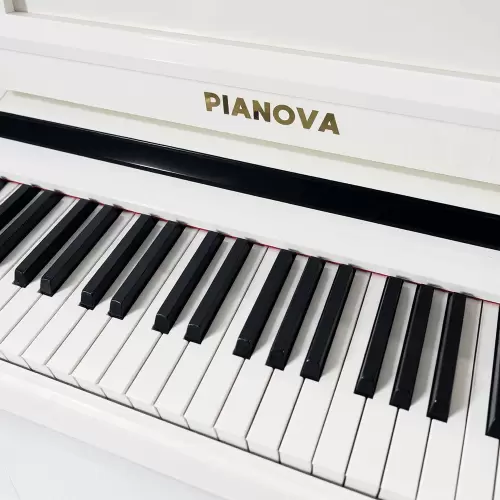 Цифровой рояль PIANOVA RG-110 Polish White